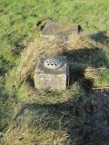 image of grave number 197354